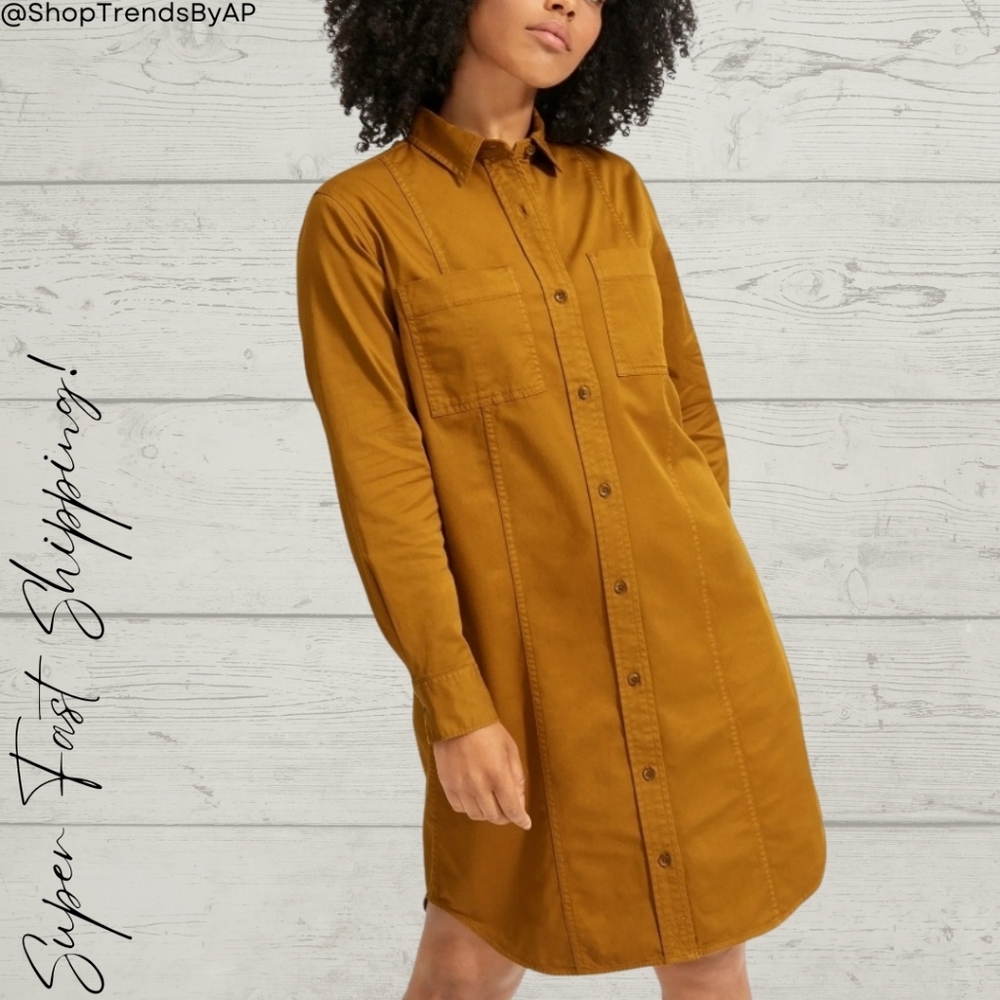 Everlane The Modern Utility Dress